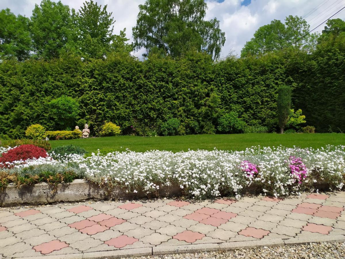 Apartmany Okoun Velké Losiny Buitenkant foto